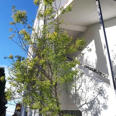Guest house M 3*
