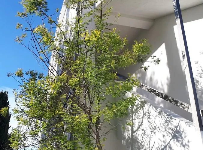 בית הארחה M 3*